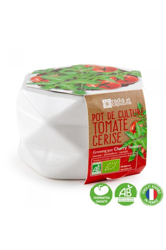 Pot origami - Tomate cerise - 